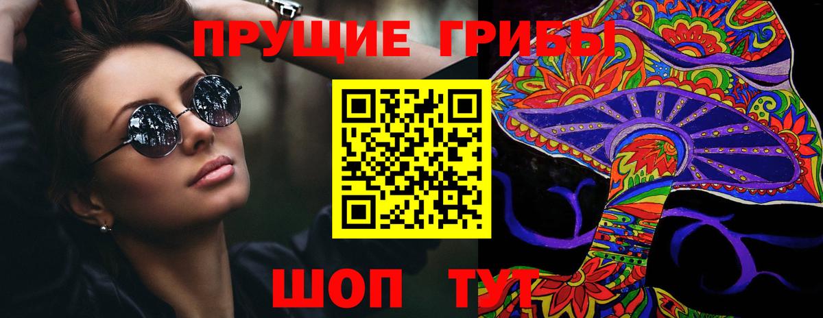 Псилоцибиновые грибы Psilocybine cubensis Кумертау