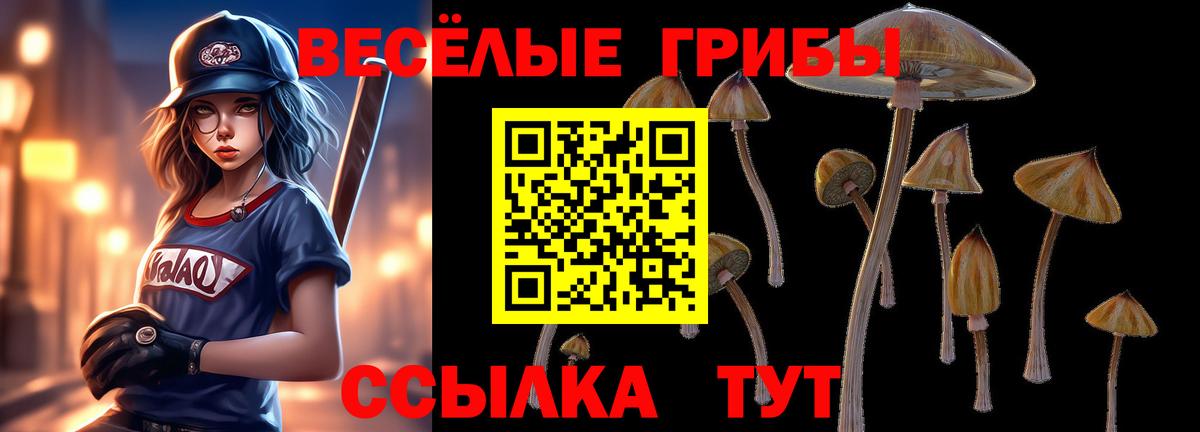 Кумертау  Галлюциногенные грибы Cubensis  магазин  наркотиков  Вход с VPN 